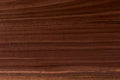 American Walnut