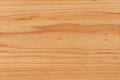 Hard Maple